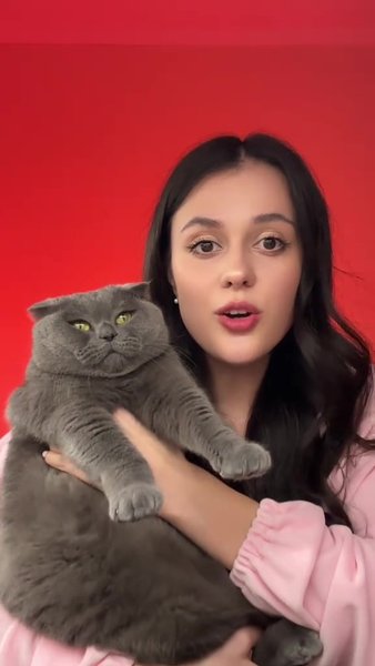 Аня з котом Аня з котом